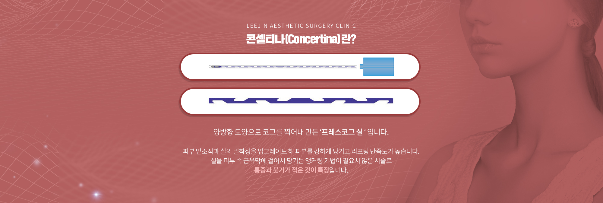 콘셀티나(Concertina)란?